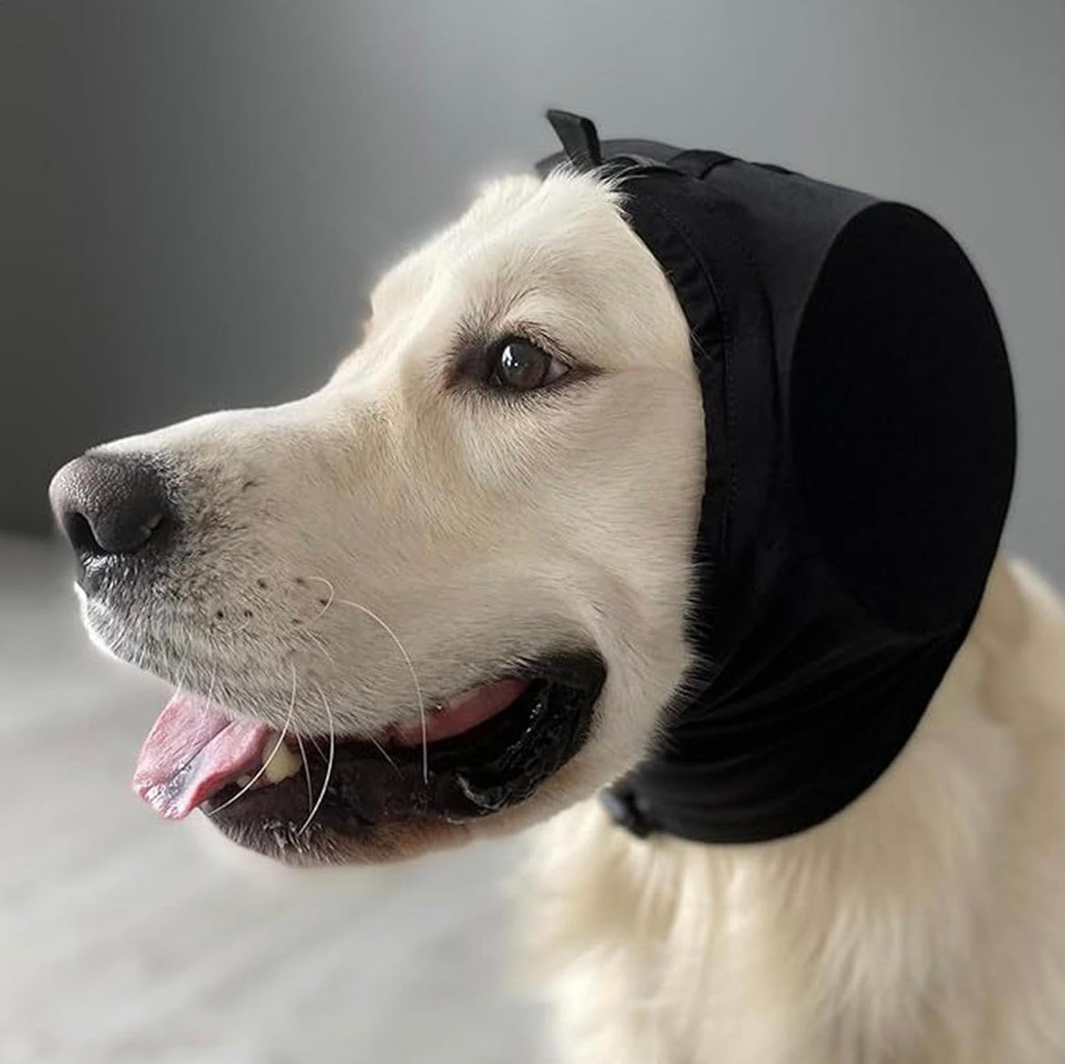 Novaras™  Dog Calmbuddy